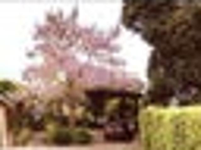 Huntsbury, 4 bedrooms, $650 pw