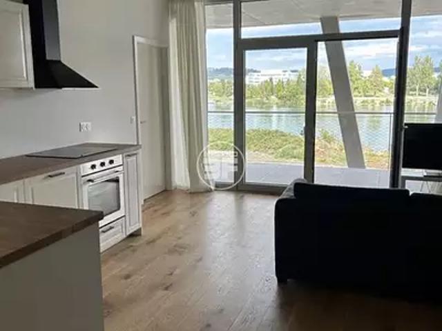 Huningue 68330 Location appartement 2 pièces t2