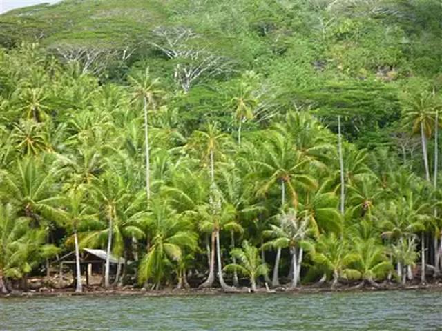 Huahine 98731 Achat / Vente terrain