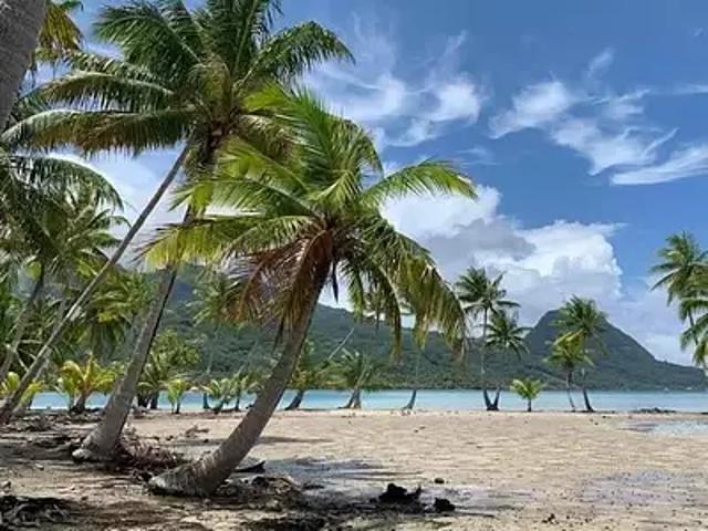 Huahine 98731 Achat / Vente terrain