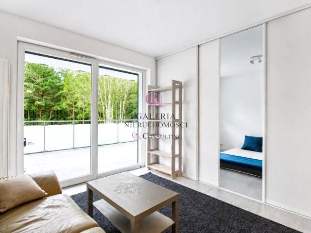 Hubego 40 m², Toruń