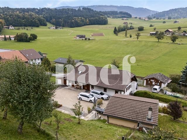 Hübsches renoviertes Bauernhaus mit 5,5 Zimmern zum Verkauf in Senèdes