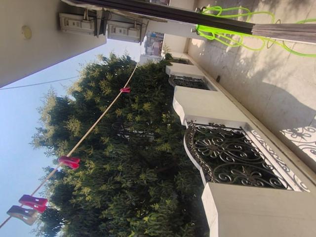 Huda Market 1 RK 235 Sq. Ft. Independent House in Sector 31 Gurgaon Listing ID: #10049