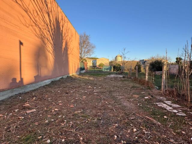 HUERTO EN FIGUERES