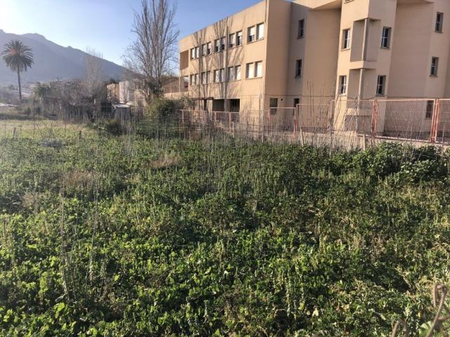 HUERTO URBANIZABLE FRENTE A NUEVA COMISARÍA