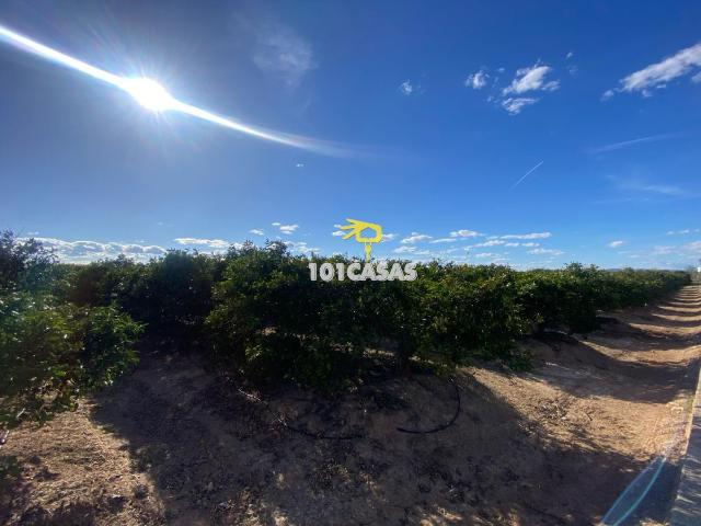 Huerto Venta Valencia