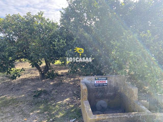 Huerto Venta Valencia