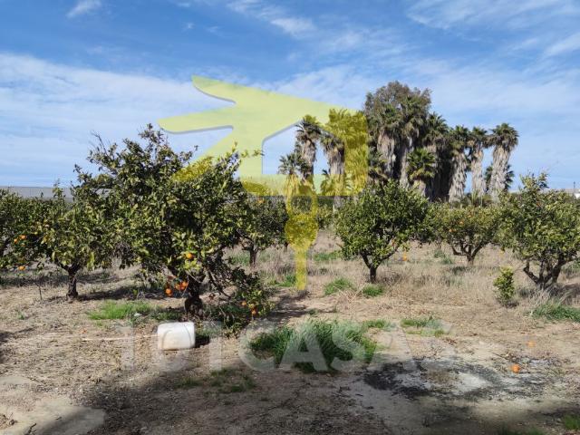 Huerto Venta Valencia