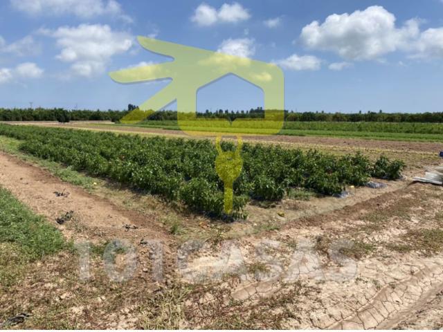 Huerto Venta Valencia