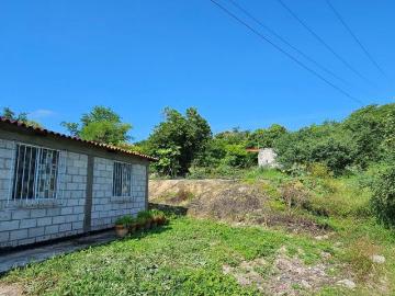 Huerta, 2.5 Ha con luz y con casa 2 cuartos y baño, riego automatizado y galline