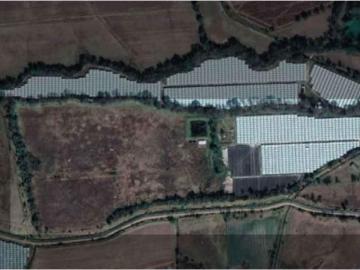 HUERTA DE ARANDANOS EN VENTA EN TZINTZUNTZAN, MICHOACAN