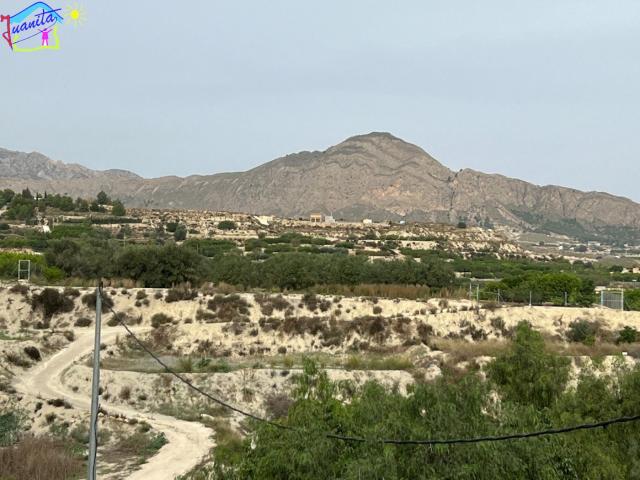 HUERTA EN LOS TOLLOS ARBOLEDAS