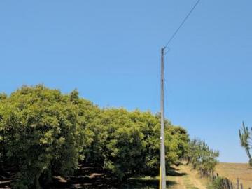 Huerta en venta en Michoacán