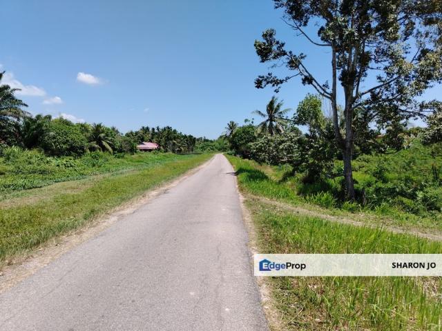 Huge land for Plantation