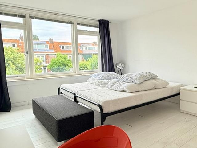 Huis Molenlaan in Rotterdam