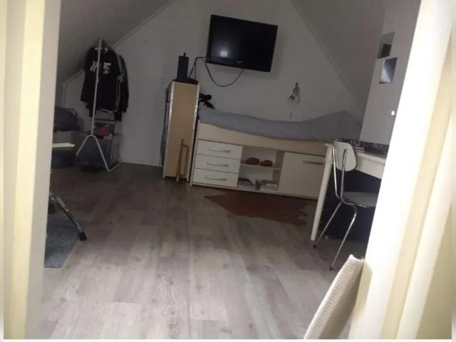 huis in Mijdrecht, Houtzaagmolen