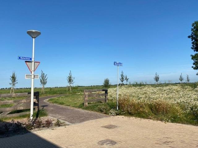 huis in Noorden, Waterhoen