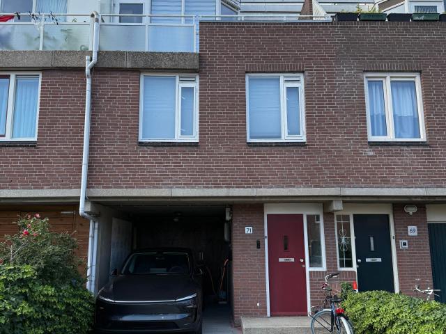 huis in Den Haag, Pieter Bothstraat