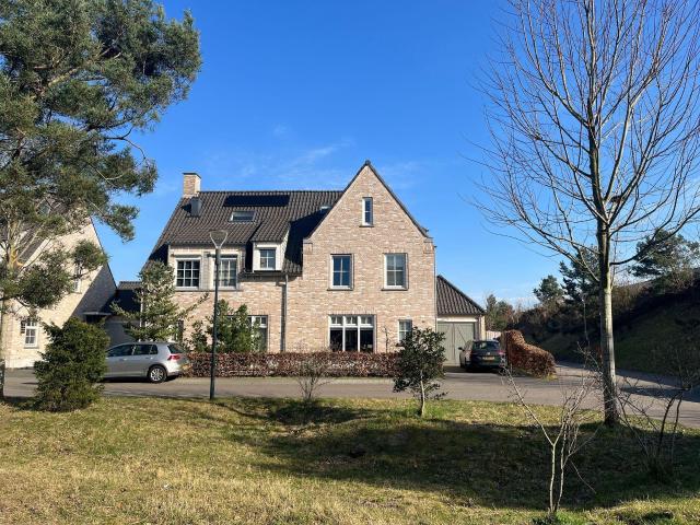 huis in Dorst, Boommarter
