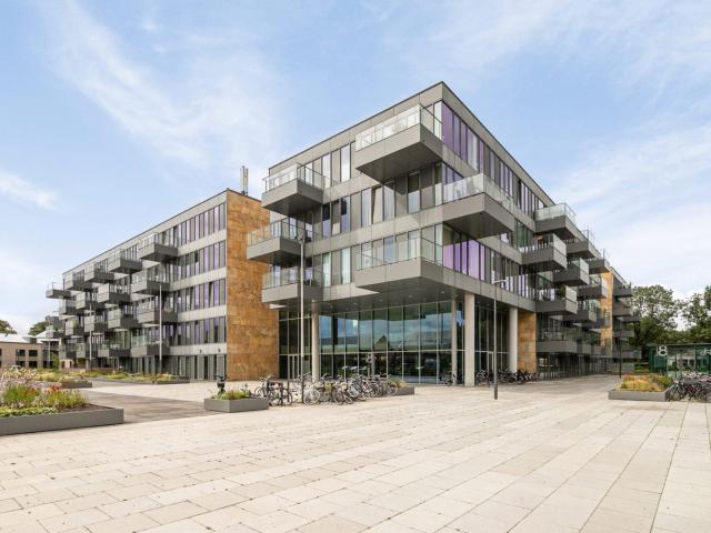 huis in Eindhoven, Grenenhout
