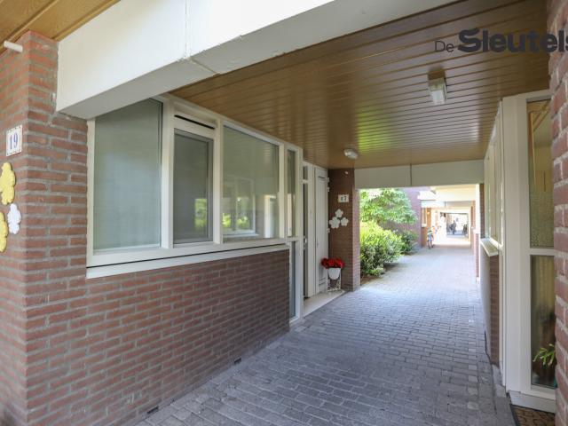 huis in Leiden, Lepelaarsoord