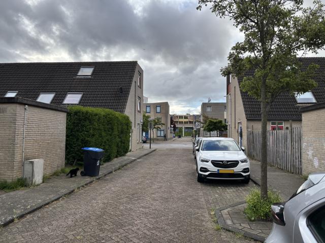 huis in Leiden, Mina Krusemanstraat