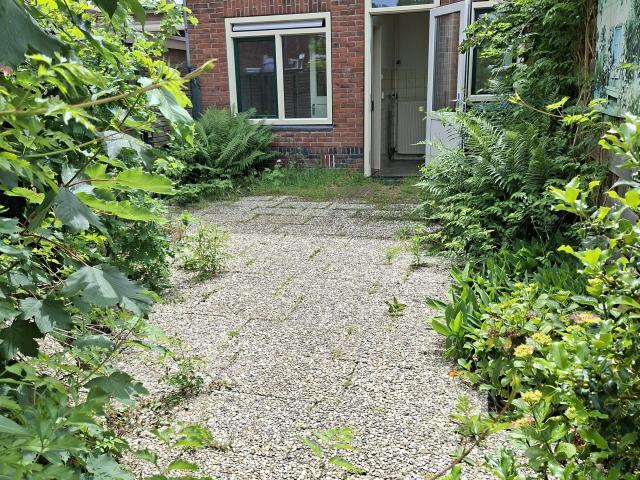 huis in Leiden, Pieter de la Courtstraat