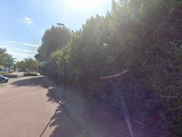 Huis Safarigeel in Zoetermeer