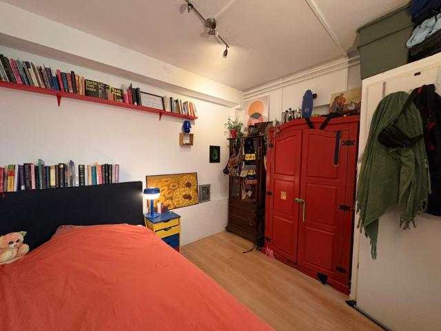 Huis zoekt huisgenoot