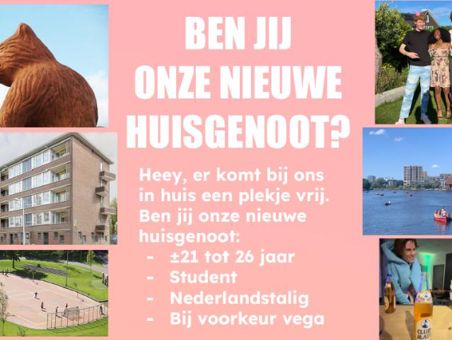Huisgenoot gezocht!