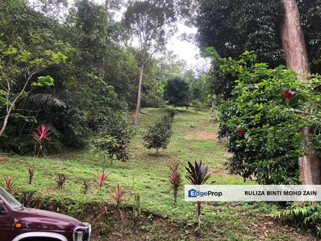 Hulu Langat Dusun Tua Batu 17 Agricultural Land