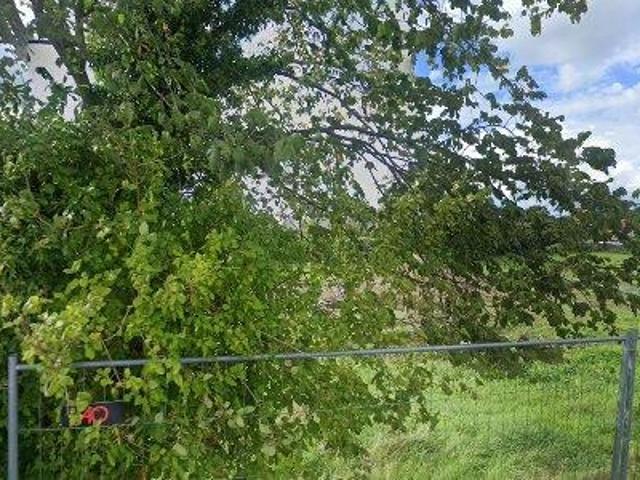 Hus i andelsbofællesskabet Vænget