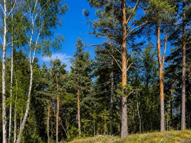 Hus med 8 st lägenheter i Almunge