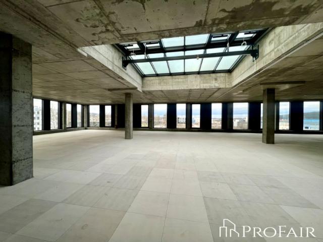 Hutnicza 1 700 m², Gdynia