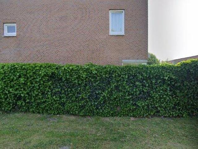 huurwoning for rent Amsterdam Eisdenstraat