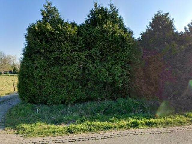 huurwoning for rent Lith Meester van Coothstraat