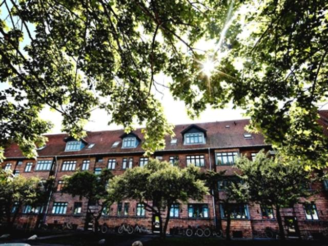 Hvidkildegård