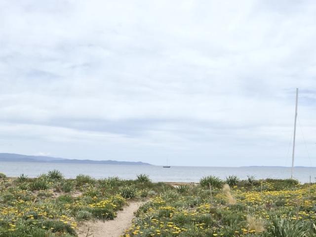 Hyères Vente Appartement 83
