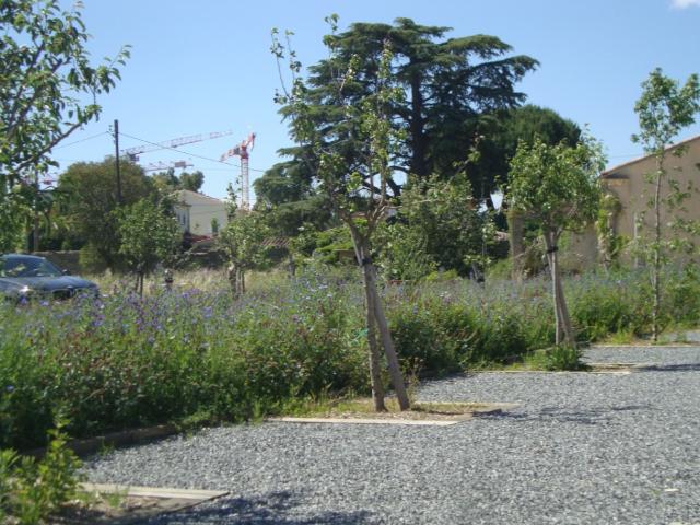 Hyères Vente Terrain 83