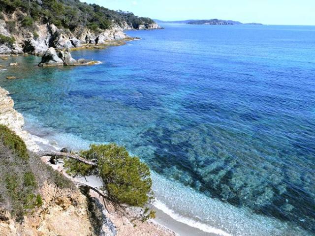 Hyères Vente Terrain 83
