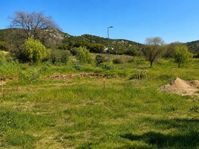 Hyères Vente Terrain 83