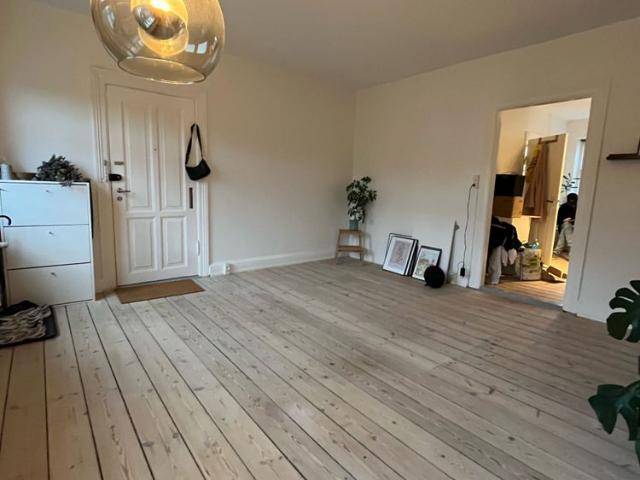 Hyggelig 2 værelses lejlighed med New Yorker væg