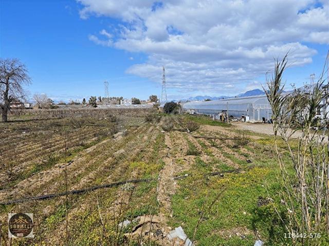 İMAR SINIRINDA DEPO VE SERA YERİ 6458 M2 TARLA YUKARIKOCAYATAK