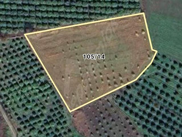 İNVEST 48'den MUGLA KÖYCEĞİZ de SATILIK ARSATARLA