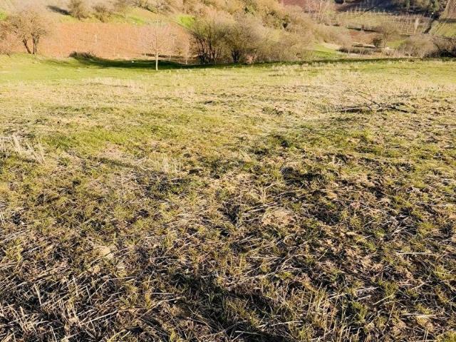 İNEGÖL HALHALCADA SATILIK 2.625 m2 TARLA