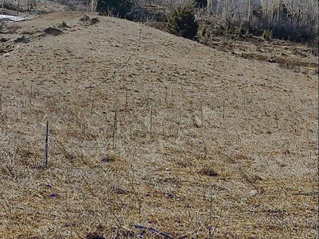 İDEALİSTA'DAN ARSLANKÖYDE ANA YOL CEPHELİ 7650 M2 SATILIK BAHÇE