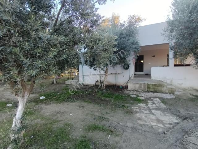İçerisinde 3 Evi Olan 3.800 M2 Satılık Kaçırılmayacak Fırsat