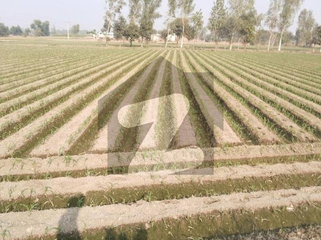 I have a 8 kanal agricultural land in kot radha kishen. Also available 1 acre to 12 acre
