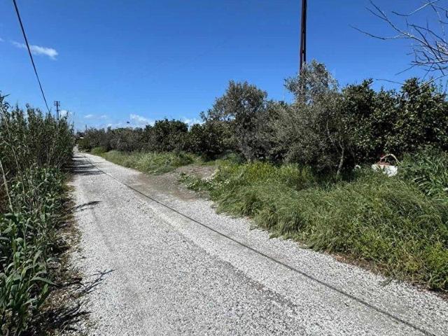 İlçe merkezine 2 km mesafede ovada 5.600 m2 Bahçe