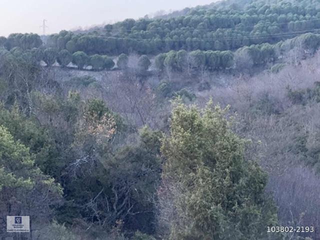 ŞİLE AĞVA GÖKSU'DA 6.960 m2 MÜSTAKİL TAPU SATILIK TARLA